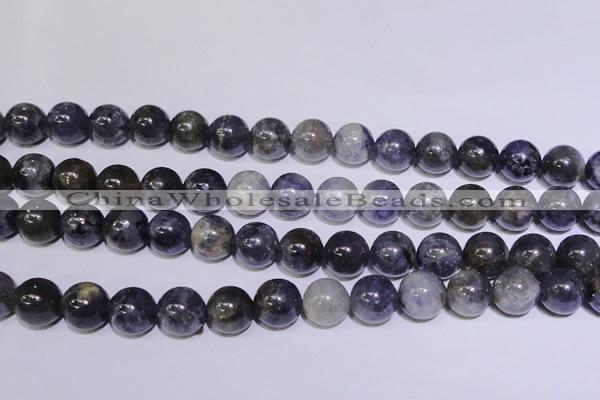 CIL05 15.5 inches 10mm round natural iolite gemstone beads