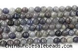 CIL119 15.5 inches 8mm faceted round iolite gemstone beads