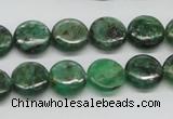 CKC108 16 inches 12mm flat round natural green kyanite beads wholesale