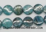 CKC22 16 inches 12mm flat round natural kyanite beads wholesale