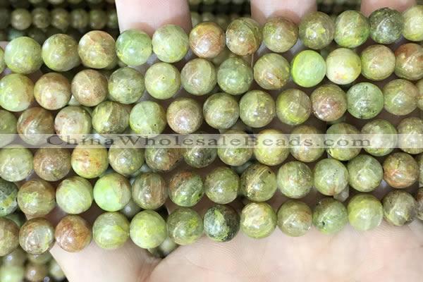 CKC762 15.5 inches 8mm round natural green kyanite beads