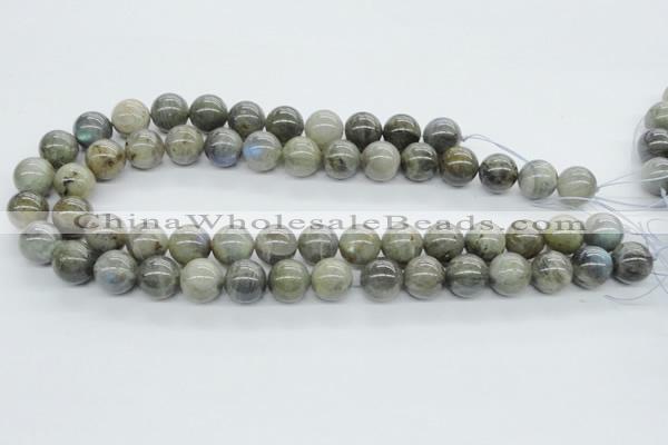 CLB102 15.5 inches 14mm round labradorite gemstone beads wholesale