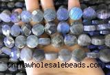 CLB1023 15.5 inches 12mm faceted coin labradorite gemstone beads