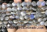 CLB1038 15.5 inches 10mm faceted coin labradorite beads wholesale