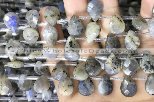 CLB1045 Top drilled 10*14mm faceted briolette labradorite beads