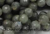 CLB23 15.5 inches 10mm faceted round labradorite gemstone beads