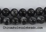CLB353 15.5 inches 10mm round black labradorite beads wholesale