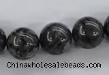 CLB356 15.5 inches 16mm round black labradorite beads wholesale