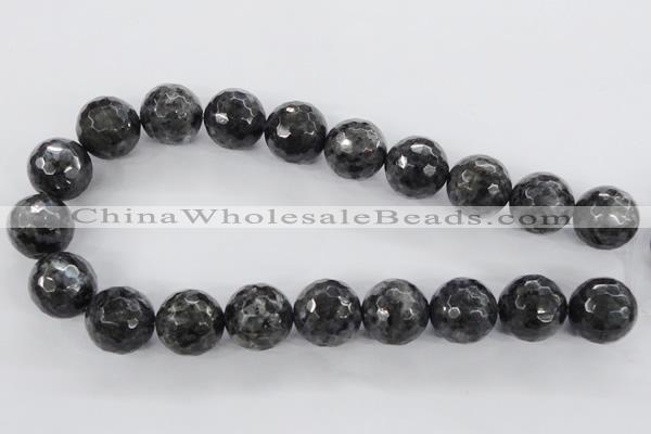 CLB367 15.5 inches 20mm faceted round black labradorite beads wholesale