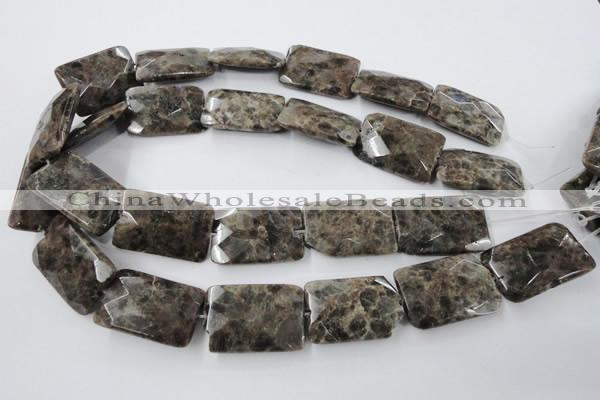 CLB426 15.5 inches 20*30mm faceted rectangle grey labradorite beads