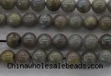 CLB601 15.5 inches 6mm round AB-color labradorite beads