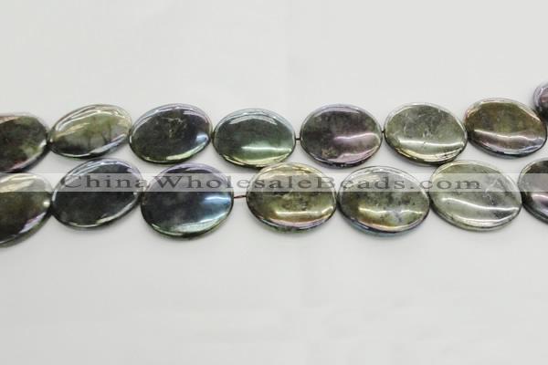 CLB642 15.5 inches 30mm flat round AB-color labradorite beads