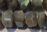 CLB701 15.5 inches 12*22mm - 14*24mm faceted nuggets labradorite beads