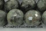 CLB715 15.5 inches 20mm faceted round labradorite gemstone beads