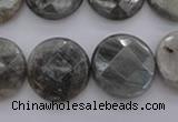 CLB745 15.5 inches 18mm faceted coin labradorite gemstone beads