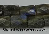 CLB962 15.5 inches 13*18mm faceted rectangle labradorite beads