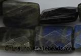 CLB965 15.5 inches 20*30mm faceted rectangle labradorite beads