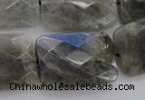 CLB97 15.5 inches 20*30mm faceted rectangle labradorite beads