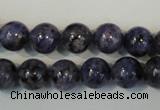 CLJ233 15.5 inches 10mm round dyed sesame jasper beads wholesale