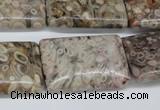 CMB28 15.5 inches 20*30mm rectangle natural medical stone beads