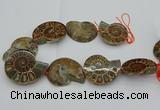 CMM03 15.5 inches 35*45mm - 45*55mm carved ammonite gemstone beads
