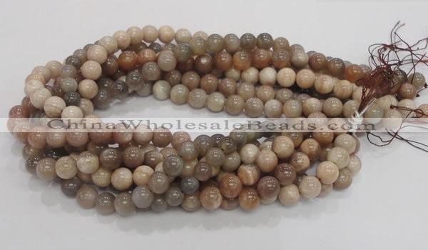 CMS03 15.5 inches 10mm round moonstone gemstone beads wholesale