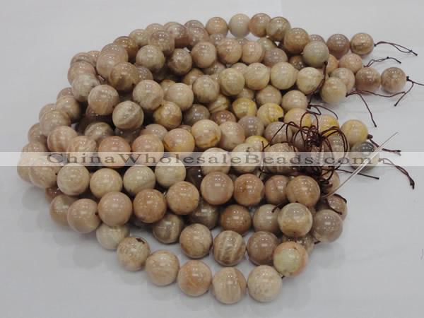 CMS05 15.5 inches 20mm round moonstone gemstone beads wholesale