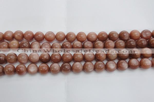 CMS1004 15.5 inches 12mm round AA grade moonstone gemstone beads