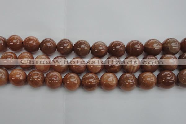 CMS1006 15.5 inches 16mm round AA grade moonstone gemstone beads