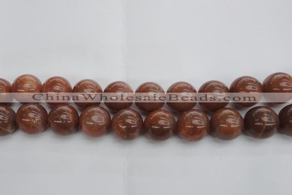 CMS1007 15.5 inches 18mm round AA grade moonstone gemstone beads