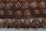 CMS1022 15.5 inches 8mm round AA grade moonstone gemstone beads
