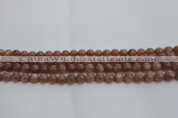 CMS1022 15.5 inches 8mm round AA grade moonstone gemstone beads