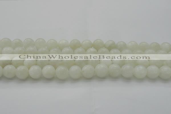 CMS1032 15.5 inches 8mm round A grade white moonstone beads