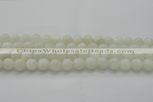 CMS1033 15.5 inches 10mm round A grade white moonstone beads