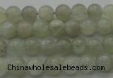 CMS1051 15.5 inches 6mm round grey moonstone beads wholesale