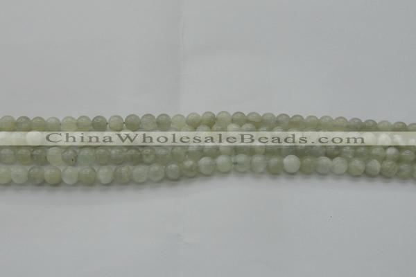 CMS1051 15.5 inches 6mm round grey moonstone beads wholesale