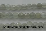 CMS1054 15.5 inches 4mm faceted round grey moonstone beads wholesale