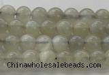 CMS1057 15.5 inches 6mm round grey moonstone beads wholesale