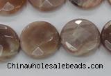 CMS113 15.5 inches 20mm faceted coin moonstone gemstone beads