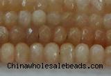 CMS1170 15.5 inches 4*6mm faceted rondelle moonstone beads