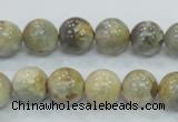 CMS122 15.5 inches 12mm round moonstone gemstone beads wholesale