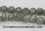 CMS124 15.5 inches 10mm faceted round moonstone gemstone beads