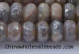 CMS1333 15.5 inches 6*10mm faceted rondelle AB-color grey moonstone beads