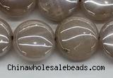 CMS1348 15.5 inches 12mm flat round AB-color moonstone beads