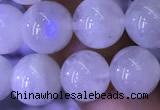 CMS1403 15.5 inches 10mm round white moonstone beads wholesale