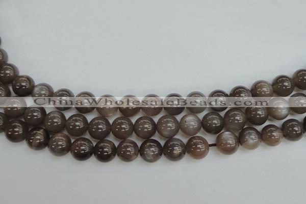 CMS142 15.5 inches 8mm round natural grey moonstone beads