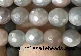 CMS1456 15.5 inches 6mm faceted round AB-color moonstone beads