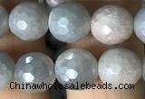 CMS1457 15.5 inches 8mm faceted round AB-color moonstone beads