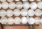 CMS1460 15.5 inches 4mm round white moonstone beads wholesale