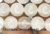 CMS1462 15.5 inches 8mm round white moonstone beads wholesale